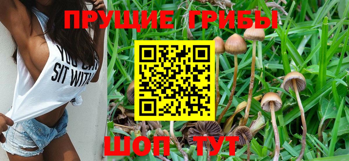 Галлюциногенные грибы мицелий Жигулёвск